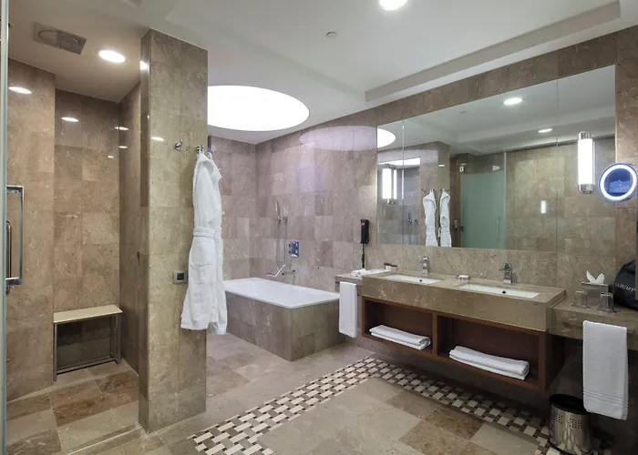 酒店 布尔萨喜来登酒店 伯萨